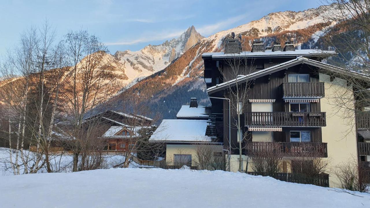 Cosy Studio On The Slopes And Centre Of Chamonix Eksteriør bilde